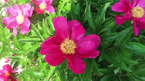 snippets from a slow saturday morning  #videography #digitalcamera