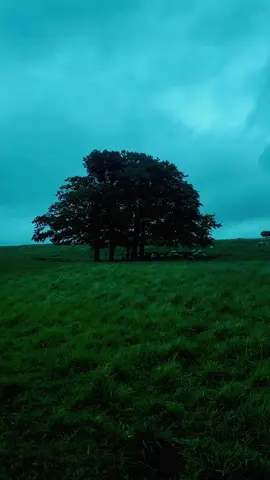 found myself sleep walking  #liminal #ambient #nostalgia #aesthetic #fyp #walk #darkambient 