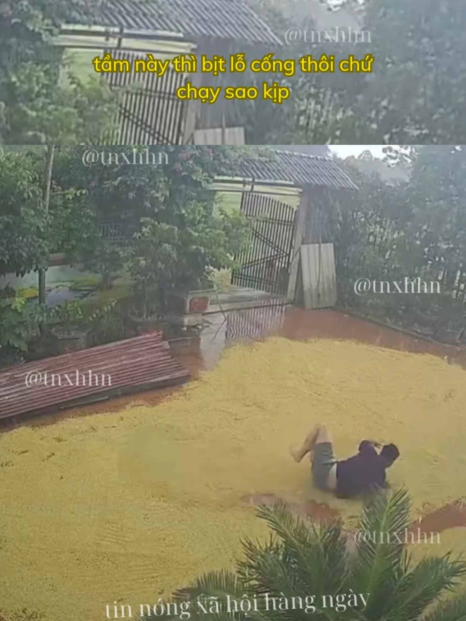 tầm này thì bịt lỗ cống thôi chứ chạy sao kịp #tintuc #tinnongtrongngay #haihuocvuinhon #lamnongvuilam #xuhuongtiktok