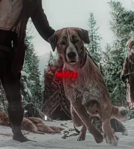 Loyal Dog Buck - The Call Of The Wild #movie #cinema #film #edit #dog 