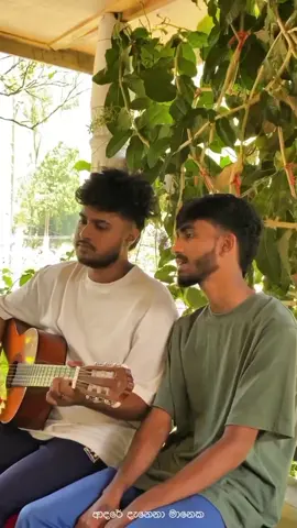 Mashup Cover !🥀 දෑතින් අල්ලන් × මග හැරී × නුබ හා × රළු නෙතු × සිතුවම් හදේ × දන්නවා ආදරේ × මා දෙපාරක්  Covered by :- Sadeepa & Shenesh Original Artists :-@Lashan_Herath @Mihiran @DILU Beats @Iman Fernando @Uvindu Ayshcharya  #sinhalacoversong #music #Love  #fyppppppppppppppppppppppp  #songs #dilubeats #mihiran #fyp #cover #sinhalasong #lyrics 