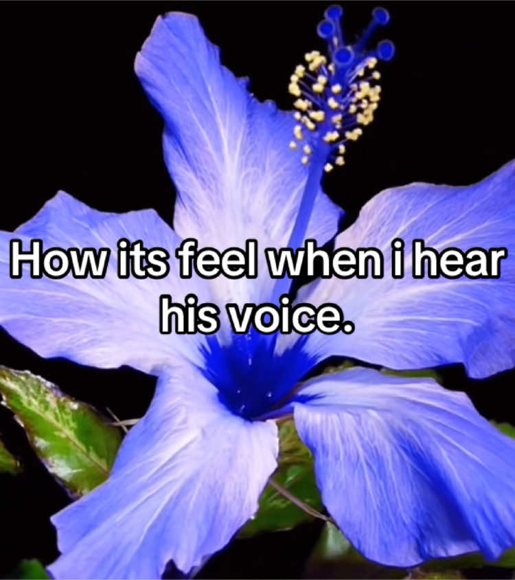 his soft voice>> #lovecore #flowers #iloveyou #foryou 