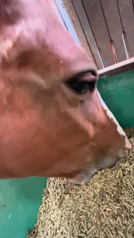 nomnomnom😋