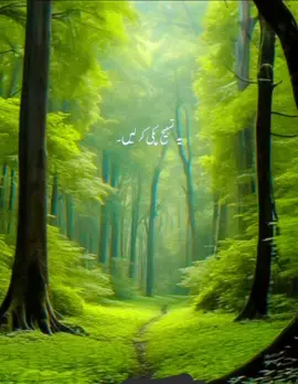 Islam@Allah#yourpage #videoviral #❤️❤️❤️❤️❤️ 