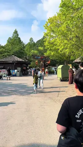 Sunday at Everland❤️ #everlandkorea