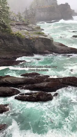 The ocean is such a beautiful feeling in the soul #ocean #washington #pnw #Hiking #fyp 