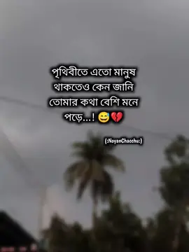 #noyanchacchu 