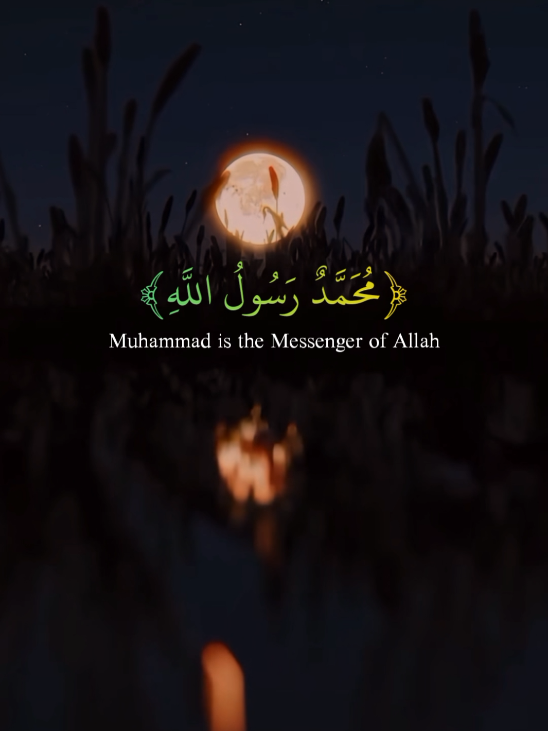 Surah Al-Fath | Rzgar Kurdi  #allah #zeealquran #quran_alkarim  #foryoupage  #القران_الكريم #quran #سورة_الفتح  #اسلام_صبحي #عبدالرحمن_مسعد 