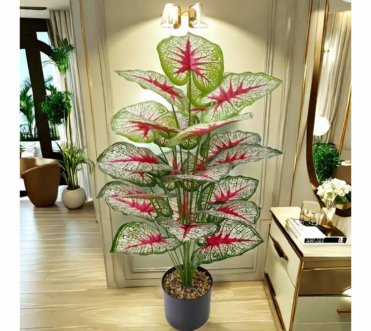 Want to infuse natural wild charm and artistic style into your space? This large - sized Caladium bicolor artificial green plant is your ideal choice✨ The leaf veins are clear, and the interweaving of green and red creates an oil - painting - like sense of hierarchy. There's no need for painstaking care, yet it stays evergreen all year round, firmly grasping the natural vitality🍃 It's suitable for creating a relaxed atmosphere in the living room corner, decorating the entrance to create a homecoming ritual, or adding an artistic atmosphere to the studio. Just place it there, and it will immediately become the focal point of the space, easily enhancing the style, filling every inch of the space with a unique charm, and bringing the 