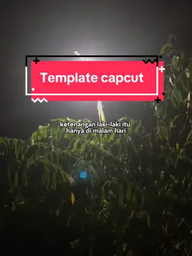 alah ngomong ae seng gawe kata kata lagi haik #cbtemplate #muslihtemplate #ketenanganlakilakiituhanyadimalamhari #wajarkalaulakilakijarangtidur 