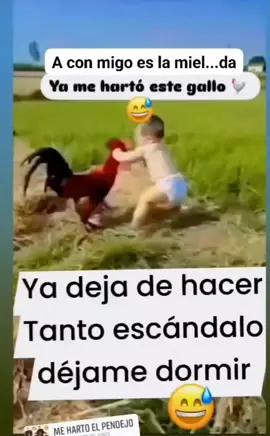 ya no deja dormir este wey