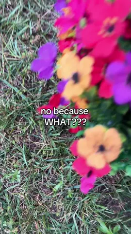 I’m fine it’s fine #fauxflowers #artificialflowers 