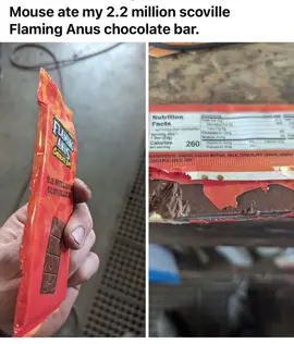 #fyp #fire #but #chocolate #lmao 