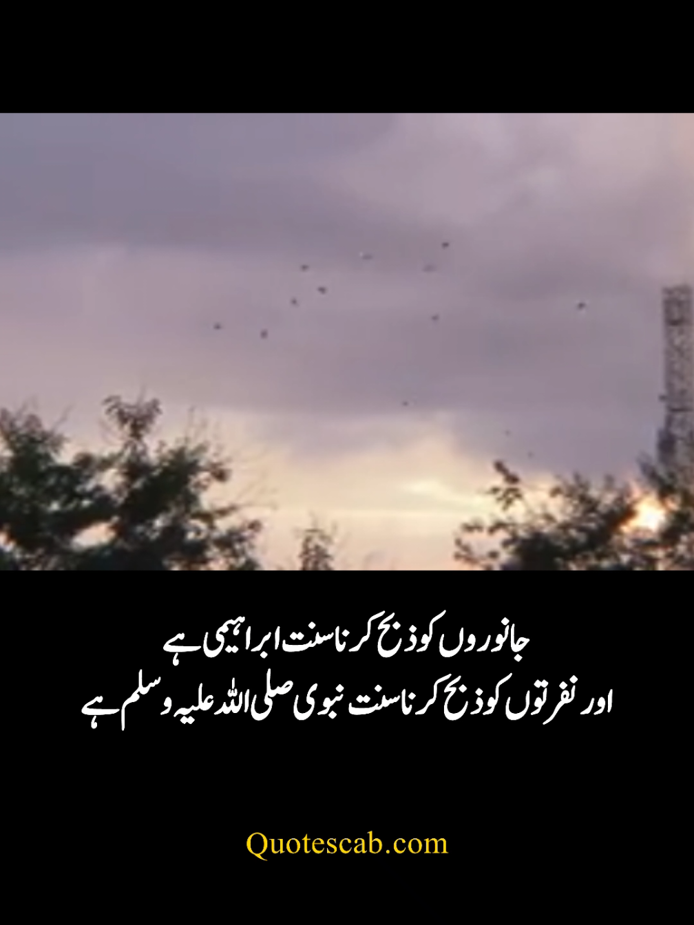 Eid UL Adha Quotes in Urdu 🥰