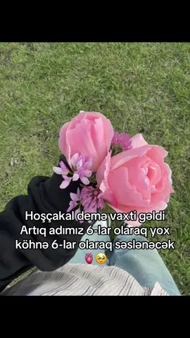🥺🫶🏼 #fyppppppppppppppppppppppp #fypage #viral #kesfetteyiz #viralvideo #kesfetteyizzzzz #kesfet 