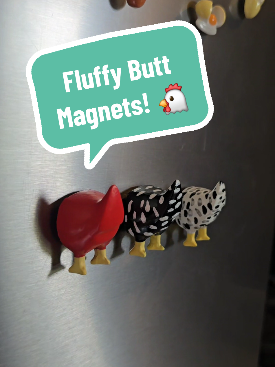 Calling all chicken lovers! Grab yourself some of these adorable fluffy butt chicken magnets. They're so adorable! Link to purchase included! #GarnoHomestead #farm #farmlife #chickens #magnet #tiktokshop @Garno Homestead LLC 