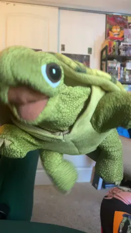 OH MA GOD IS THIS REALLLLLL @KATSEYE #gnarly #turtle #turtlepuppet #fyp 