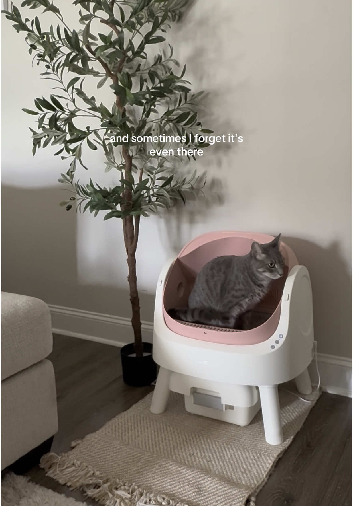 I’ve tried other self cleaning litter boxes, but they were always too cramped and my cats hated them. They also gave my anxiety bc they were closed off. This one gives them plenty of head room, holds more waste, stays open the whole time and works without needing an app. You just set it up and it’s ready to use. It also comes apart for easy cleaning!  #selfcleaninglitterbox #automaticlitterbox #cats #catlitterbox #litterboxsetup #litterb #petpivotlitterbox #petpivot  @PetPivot US 