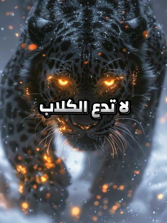 لا تدع الكلاب خلفك تنبح بحجة القافلة اوقف القافلة وادب الكلاب ثم واصل المسير🔥💪🚨#خواطر #خواطر_للعقول_الراقية #نصائح #اقتباسات #اقتباسات_عبارات_خواطر #كلام_من_ذهب #كلام_من_القلب #fyp #porwmeno 