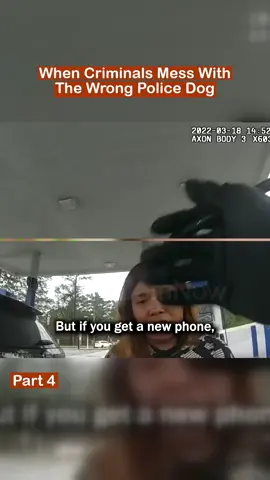 Part 4 - When Criminals Mess With The Wrong Police Dog