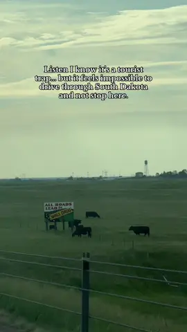 A South Dakota right of passage tbh. #walldrug #southdakotacheck #touristtrap #southdakota #badlandsnationalpark 