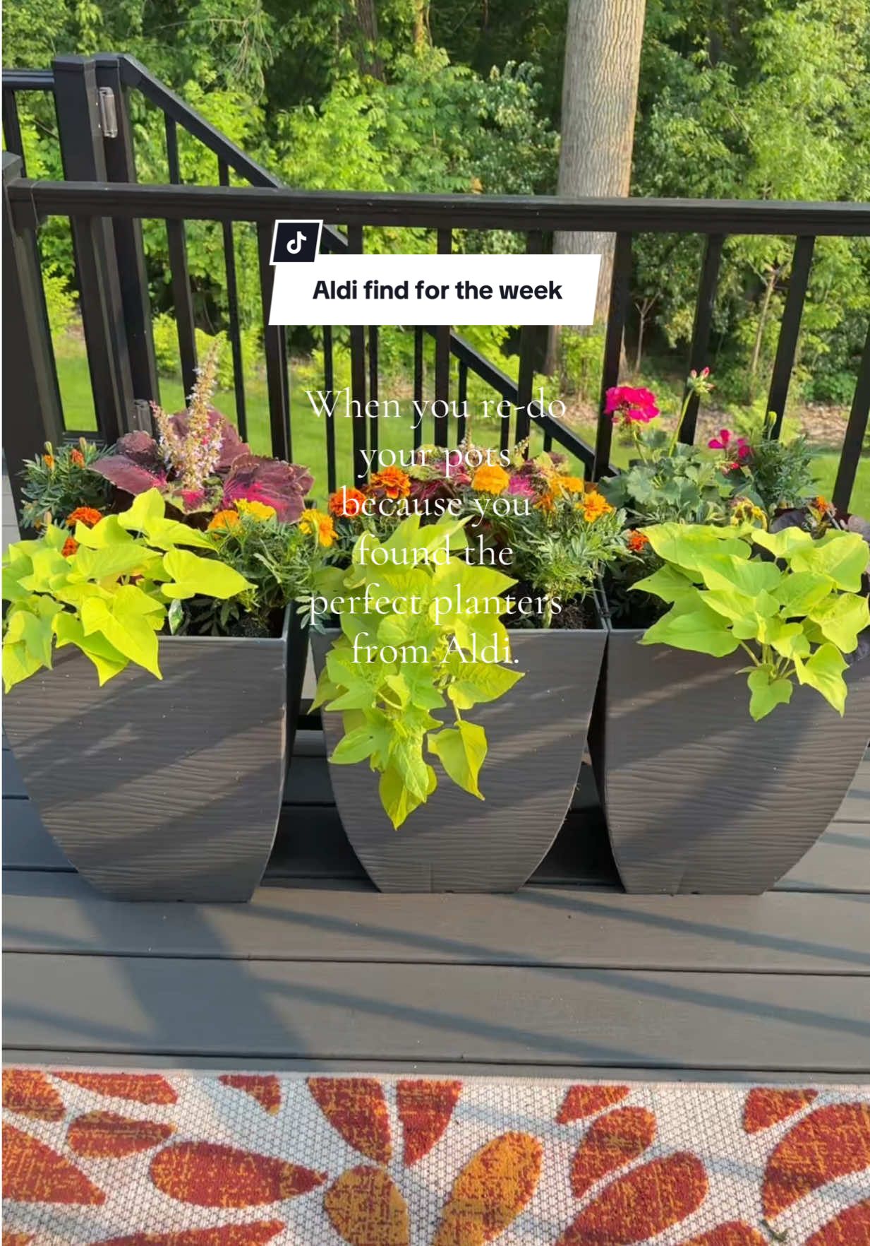 Aldi finds for the week. These tall planters were such good find. Completed the whole look I was going for. Thanks Aldi. 🌺🌷🍃🌿 #aldi #aldifinds #alditiktok #planters #potplants #plants #plantsoftiktok #momlife #flowers #Summer #fyp #fypシ #greenfingers 