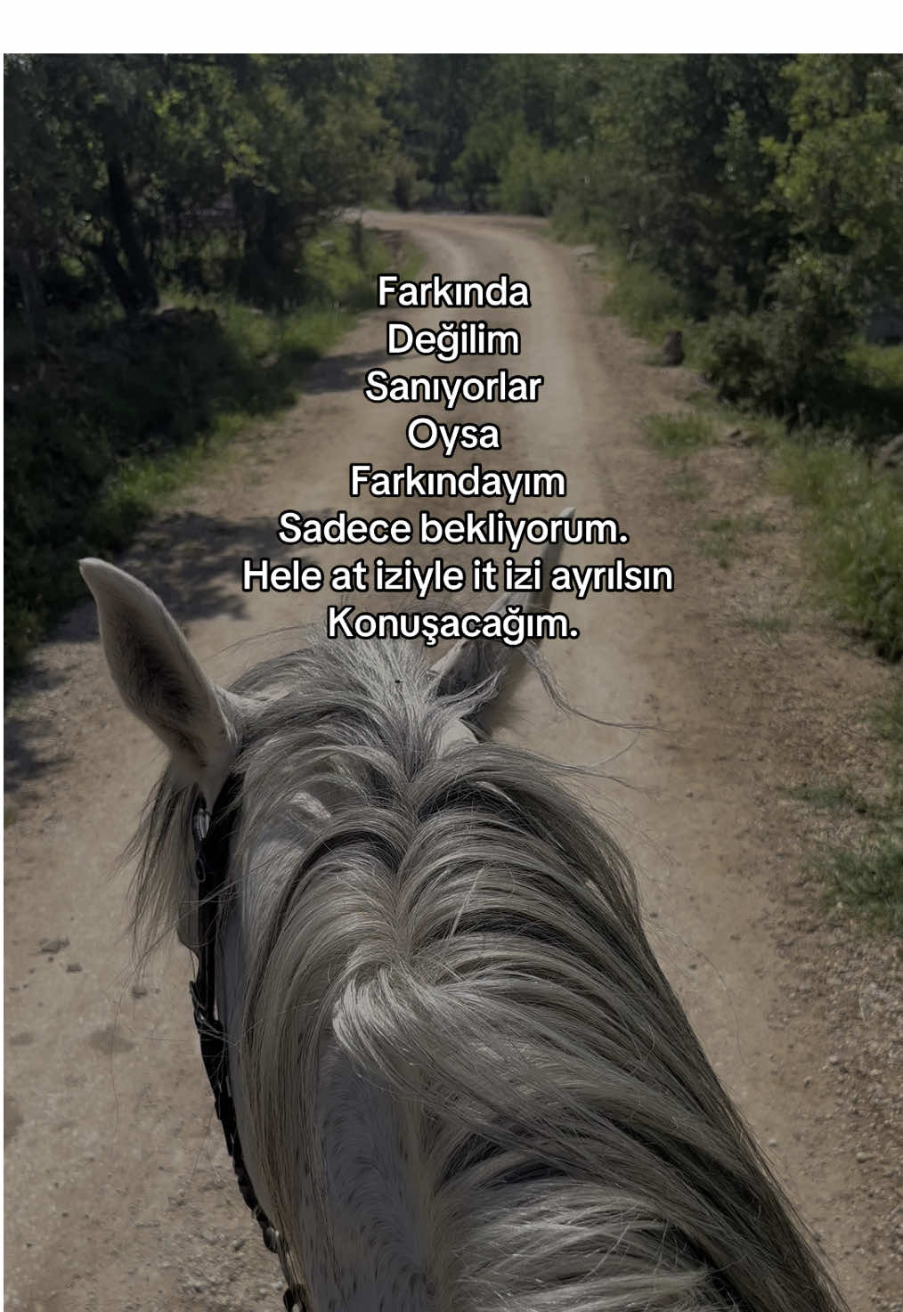 Farkındayım 😮‍💨 #fyp #fypシ゚ #keşfet #horse 
