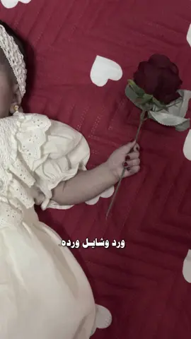 #CapCut #وردتي🌸🤤 #بنوتي #ماضل عندي محتوى غير بنتي 🤣🤣🤣مافي شي انشرو صرعتكن #foryou #viralvideo 
