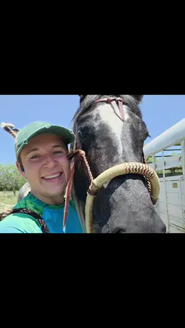 It only took me 2 years, but I finally got Tempy out for her first real trail ride. None of her barn buddies, just flying solo with mom. She was absolutely perfect. I didn't expect much less. Actedike shes been doing it for 20 years. God I love this horse.