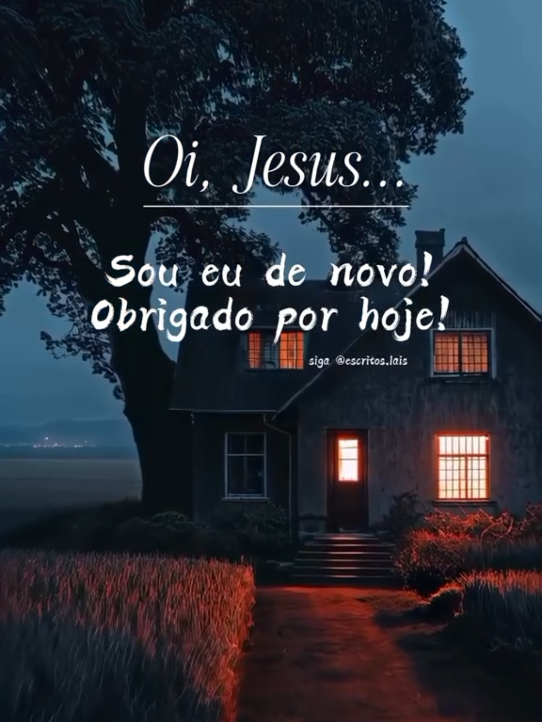 #obrigadodeus #boanoite #boanoitecomdeus #gratidão #foryoupage #status #mensagem #frasesmotivadoras #deusnocomando #viralvideos 
