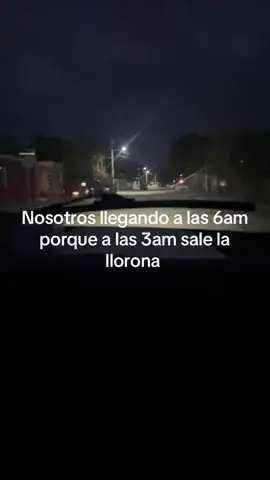 #contenido 