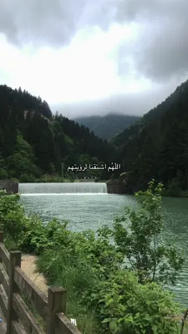 آمين يارب العالمين. #دعاء #اكسبلور #explore #4u #جدتي #يارب #الموتى_لاتنسوهم_من_دعائكم #صدقه_جاريه #foryoupage #fyp #fyp #foryou #فقيدتي #رحمك_الله #fyppppppppppppppppppppppp #تلاوة_خاشعة #قران_كريم #quran 