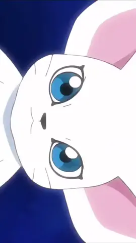 DIGIMON EVOLUTION... DIGIMON AVENTURE ... GATOMON EVOLUTION ANGEWOMON, OFANIMON, HOLYDRAMON ... EVOLUCIÓN DE GATOMON A ANGEWOMON, OFANIMON, HOLYDRAMON #fyp #foryoupage #anime #otaku #evolution #digimon #digimonadventure  #digimonlatino #gatomon  #angewomon #ofanimon #holydragonlasthope 