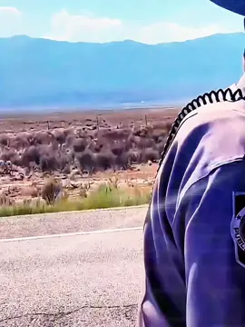 P4 #copsoftiktok #policeofficer #policeoftiktok #police 