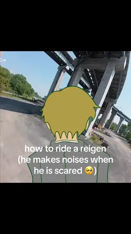 🥺🥺 poor scared baby!!! #viral #trending #fypシ゚ #fyp #anime #fly #reigen #reigenarataka #mobpsycho100 #mobpsycho 