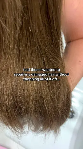 ya we’re not chopping all our hair off over here 💅🏽🫢 #hairtransformation #hairdamage #damagedhair #hairjourney #hairrepair #haircare #hairtips #haircareroutine 