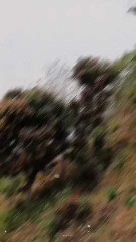 #CapCut 