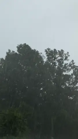Rainy Day 🌧️ #rainyday #rainydays #rainyweather #rain #rainynight #rainydayvibes 