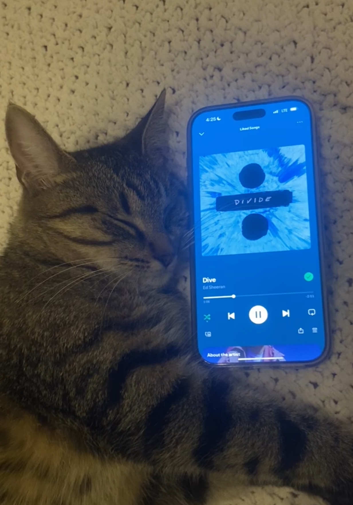 Rory’s playlist pt. 131 @Ed Sheeran #dive #divide #edsheeran #spotify #musica #cat #catsoftiktok 
