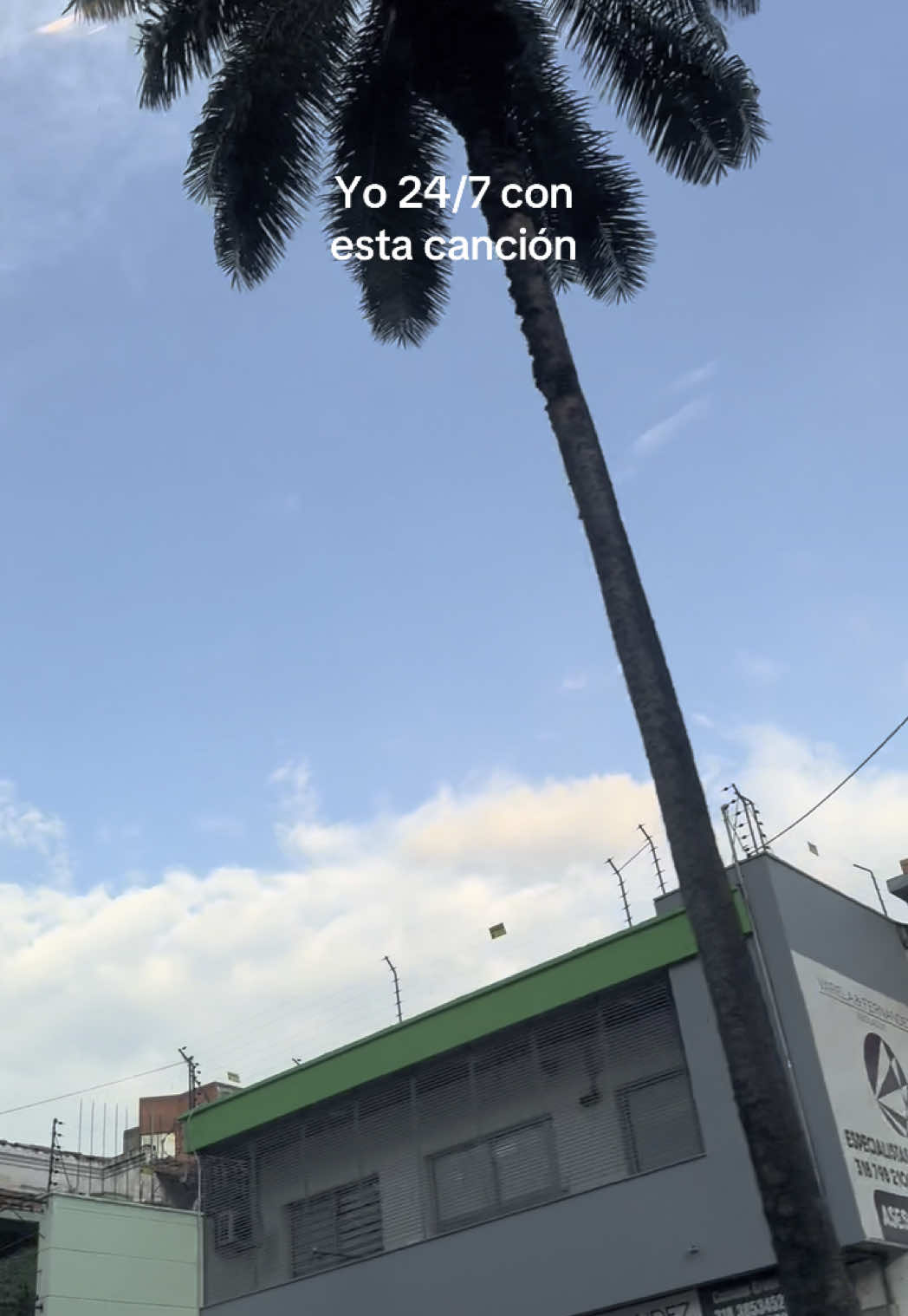 Yo 24/7 con esta canción, si me lo preguntan 💃🫶🌶️✨  #creatorsearchinsights #salsabrava #salsa #salsaromantica #fania #bogota #cali #salsabaul #salsaparaestados #salsacaleña #bogotasalsera #fyyyyyyyyyyyyyyyy #feriadecali 