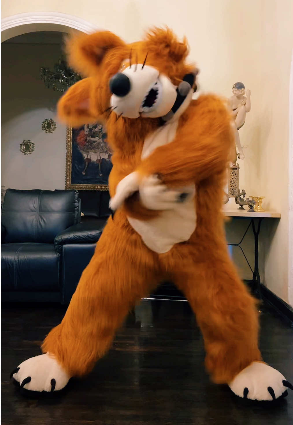 No no no! AL COCO NO🐺 El Lobo Bailarín se rayó 😅😅 @Ceci show y sus Amigos #lobo #elcoco #nonono #viralvideos #loco #lobobailando 