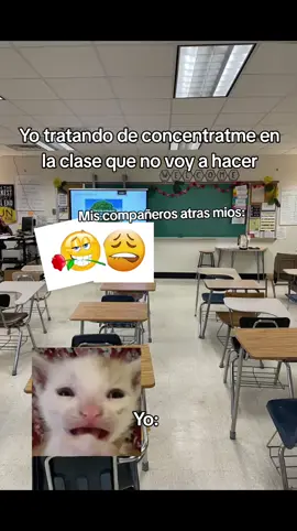 #paratí #paratii #misalon #escuela #viralllllll 