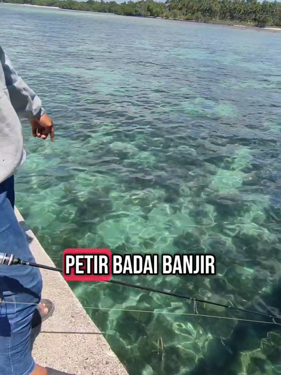 Yang penting gasss 😁😄 #mancing #mancingliar #mancingikan #mancingmania #anglerindonesia #storyfishing #fishing #storymancing #foryou #foryoupage 
