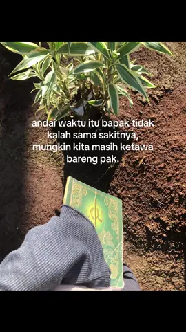 Al fatihah gantengku🤲🏻  #fypage #fypシ゚ #rinduayah #ayahhebat #lewatberanda #anakperempuan 