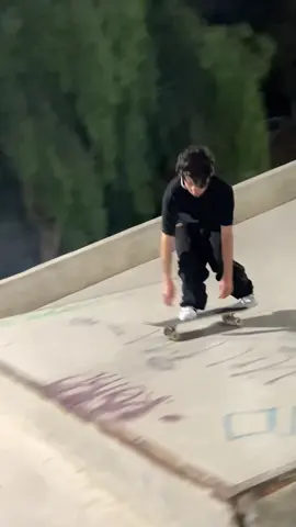 #treeflip #santagrifa #skate #parati