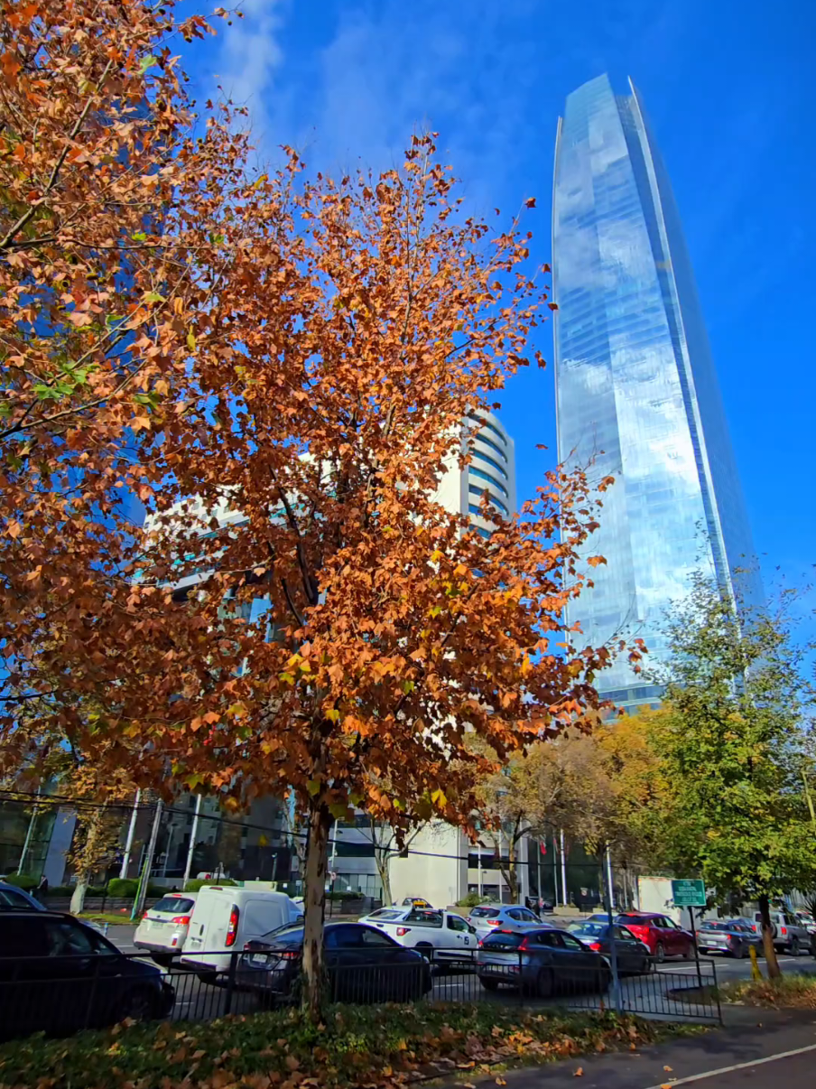 Autumn in Santiago 🍂 Fall season #chile #santiagodechile #chili #publictransport #metro #chilean #southamerica #metro #train #chileno #electric #cile  #autonno #Otoño #CapCut #santiagochile #otoño #city #seniorjp #outono #가을 #秋天 #秋 @Red Movilidad @Tiometrodesantiago @EFE Trenes de Chile 