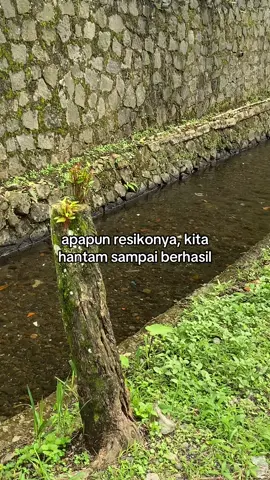 #galaubrutal 