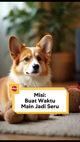 🐶 Siapa yang pantas dapet camilan lezat?  Jawabannya: ANJING KESAYANGANMU! Schmackos  camilan favorit anjing yang bikin ekor bergoyang tiap saat! 🦴 Yuk, kasih yang terbaik buat Anabul #anabulkesayangan#dogfood#SnackAnjing#PedigreeDogFood