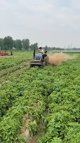modern agriculture #ModernFarming #AgriNepal #AgricultureNepal #nepalifarmer #OrganicFarming #Farming #CropFarming #villagelife #AgroBusiness 