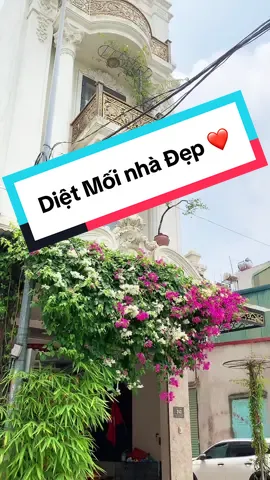Mối ăn vào cả hệ thống cầu dao điện của khách bên em 😢 Bên em DIỆT MỐI cho khách tại X1 Ninh Hiệp #nhasachmanhhung #nhasachninhhiep #dietmoitangoc 